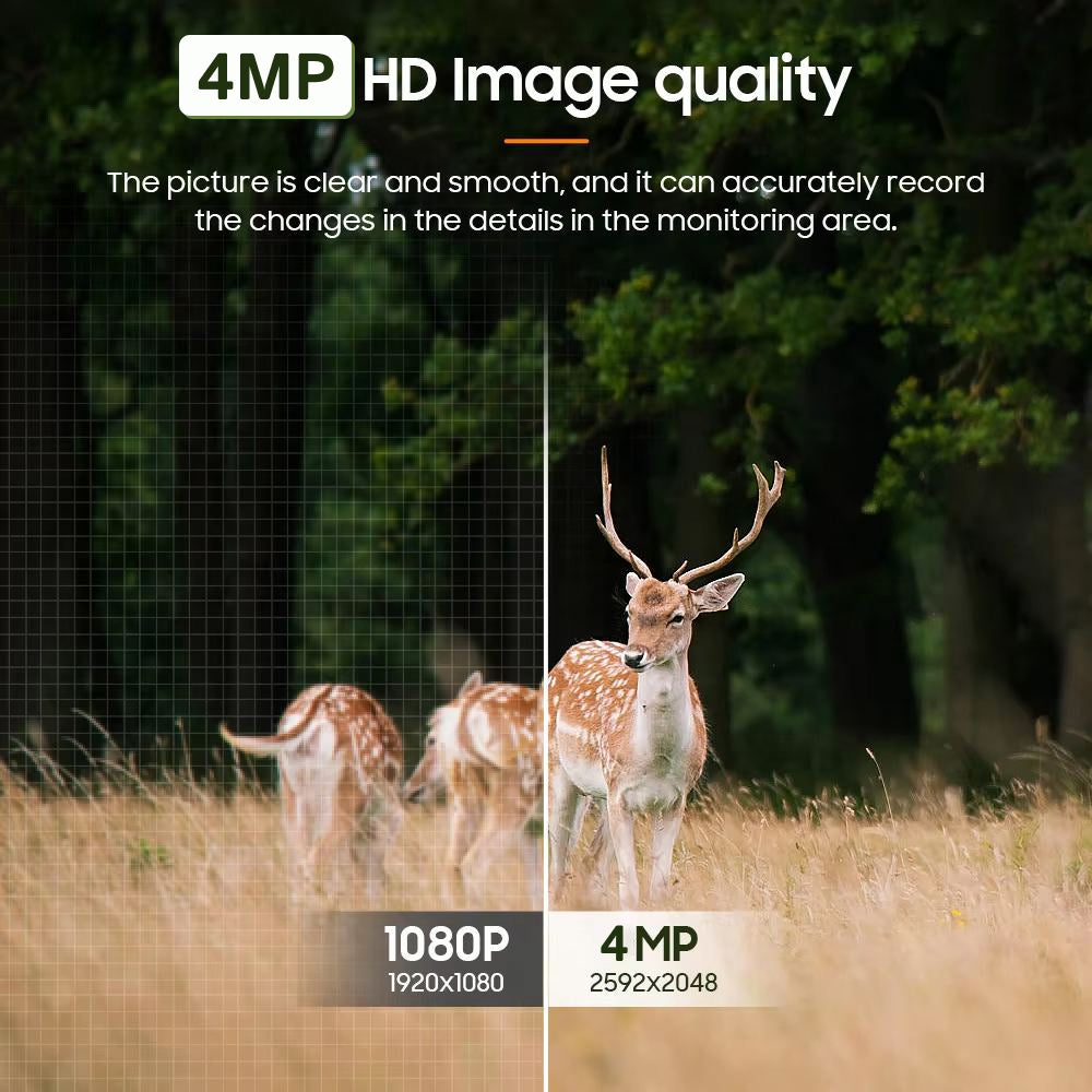 WudCam 1
