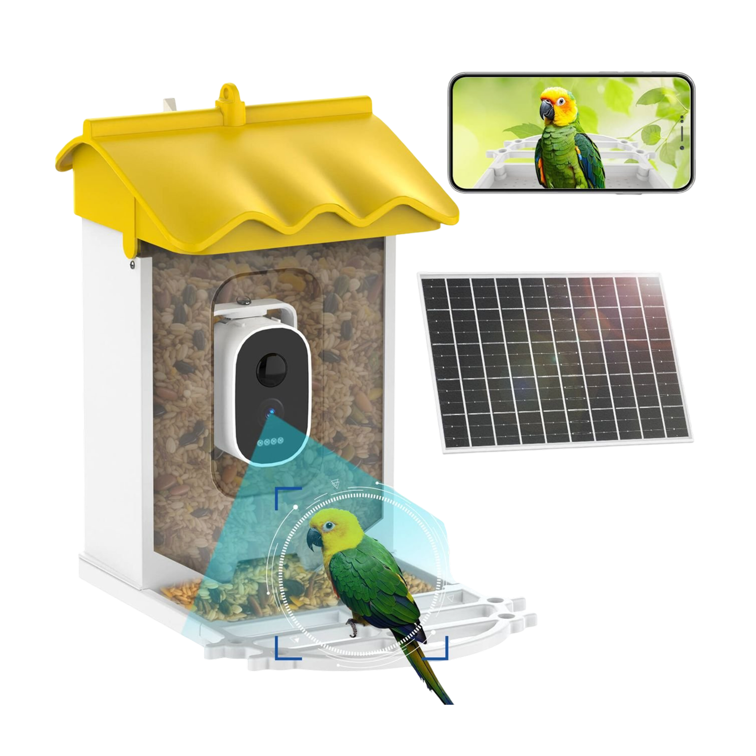 BirdieSaw