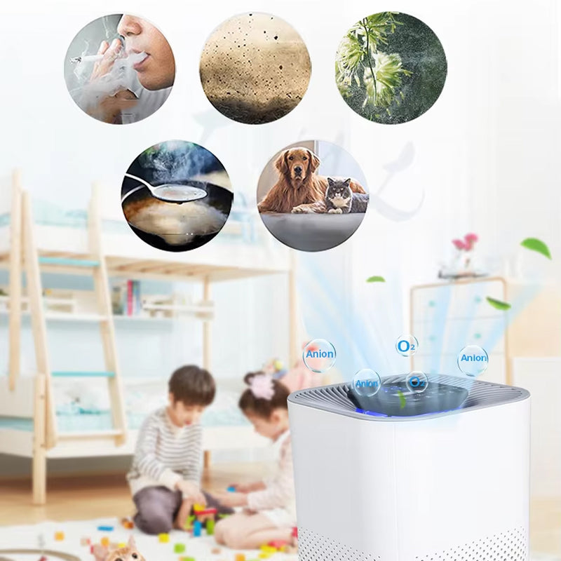 evo-senka-img-07.jpg__PID:a1c2f417-6fa8-40fb-a25b-84846f1ca3a7