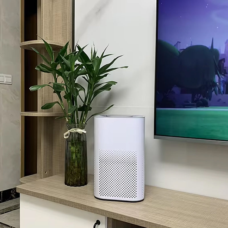 evo-senka-img-08.jpg__PID:c2f4176f-a870-4b22-9b84-846f1ca3a776