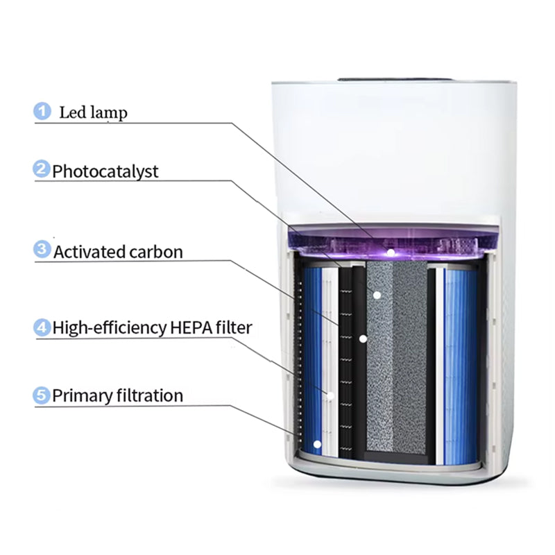 evo-senka-img-10.jpg__PID:176fa870-fb22-4b84-846f-1ca3a77650d5