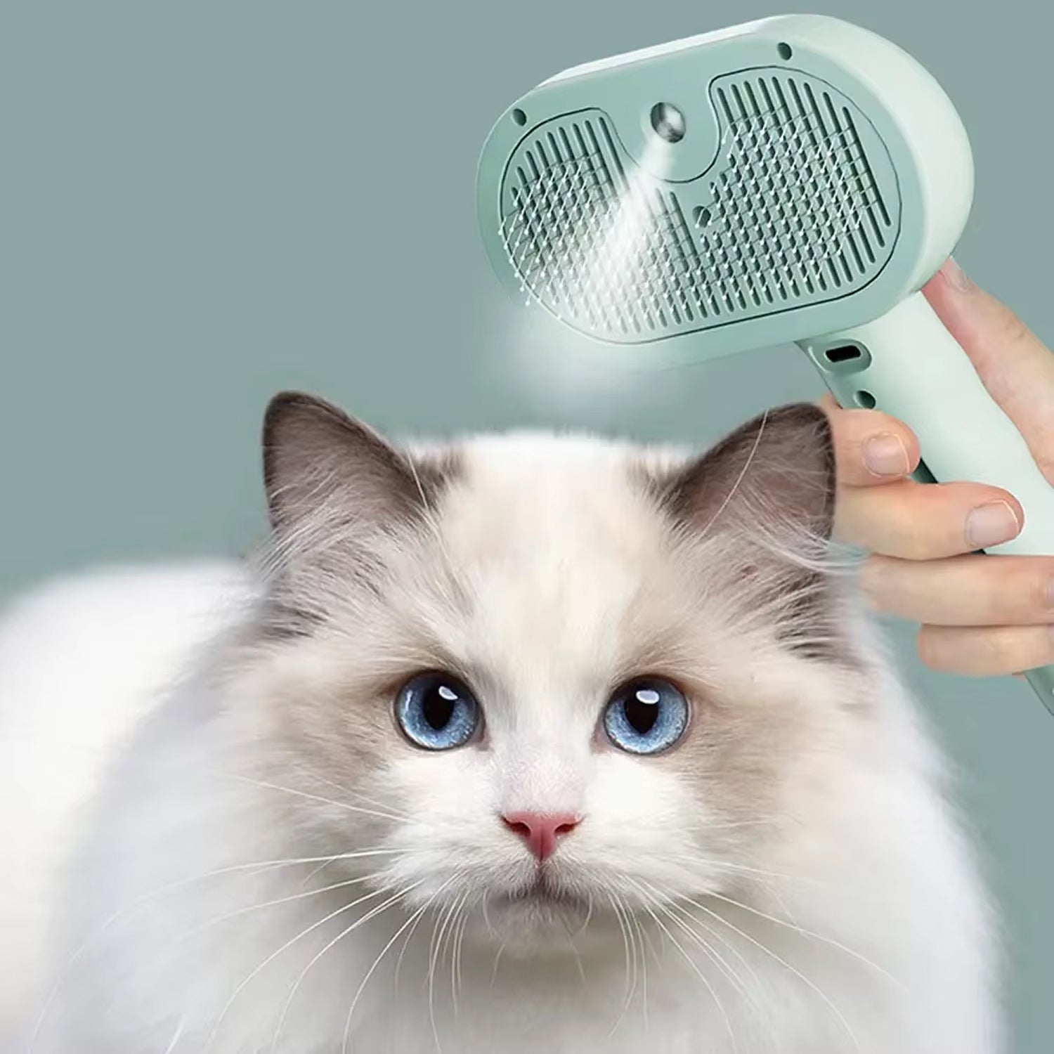 FurrKitti