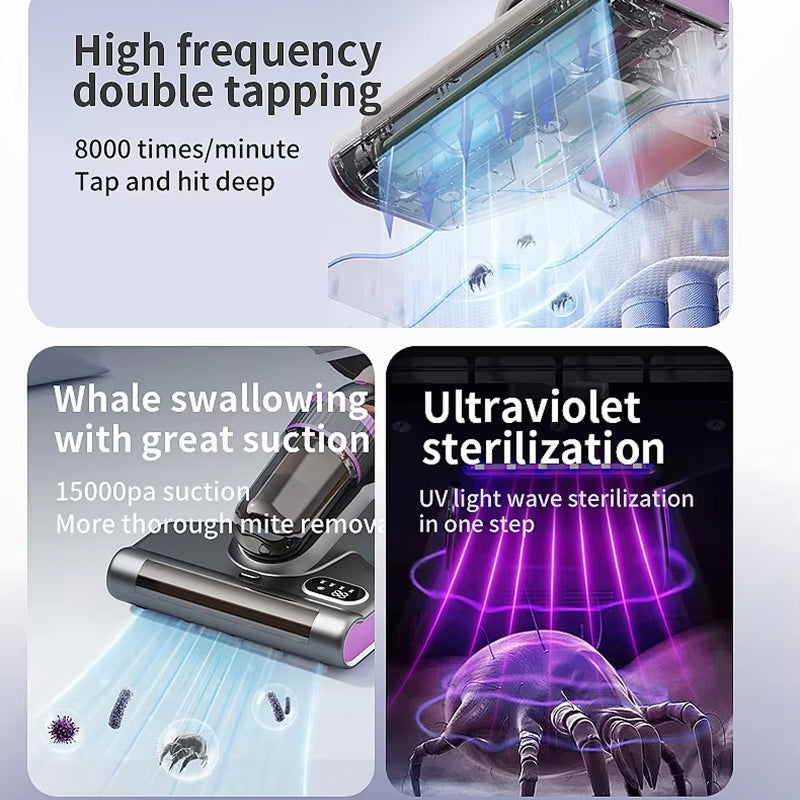 HygiMattra 1