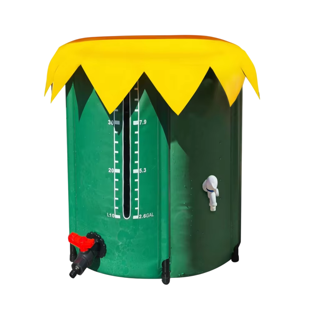 Kolirain 1