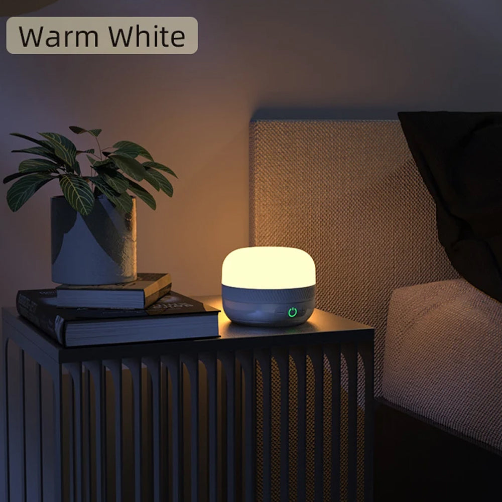Lampterny 1