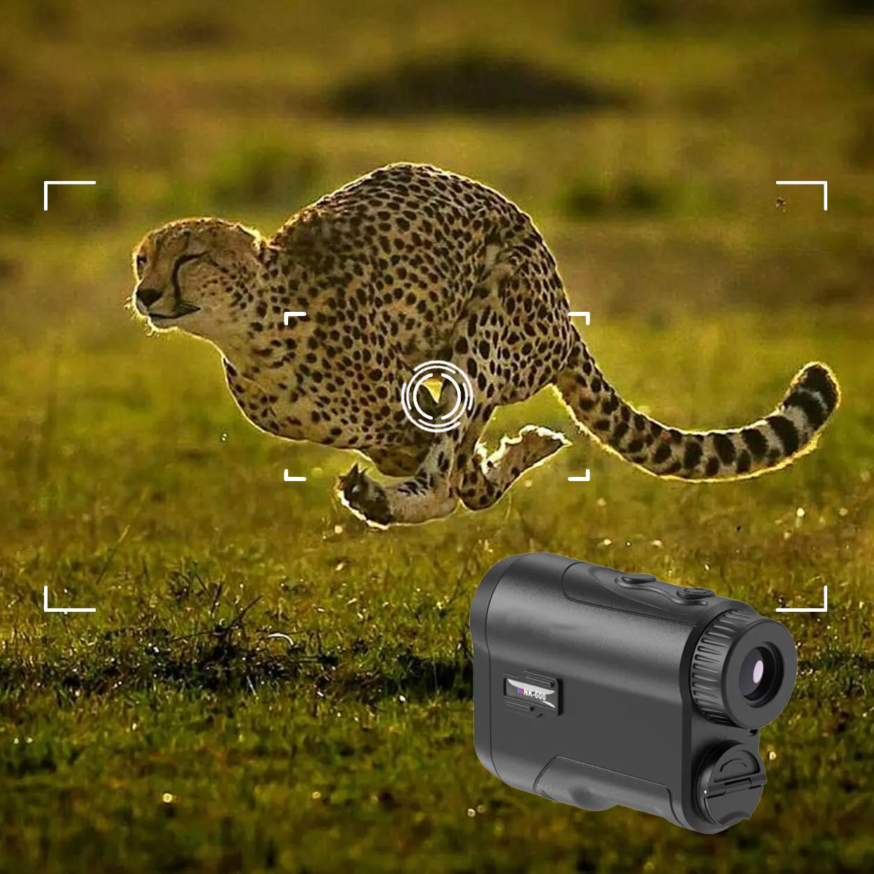 LarisSpot