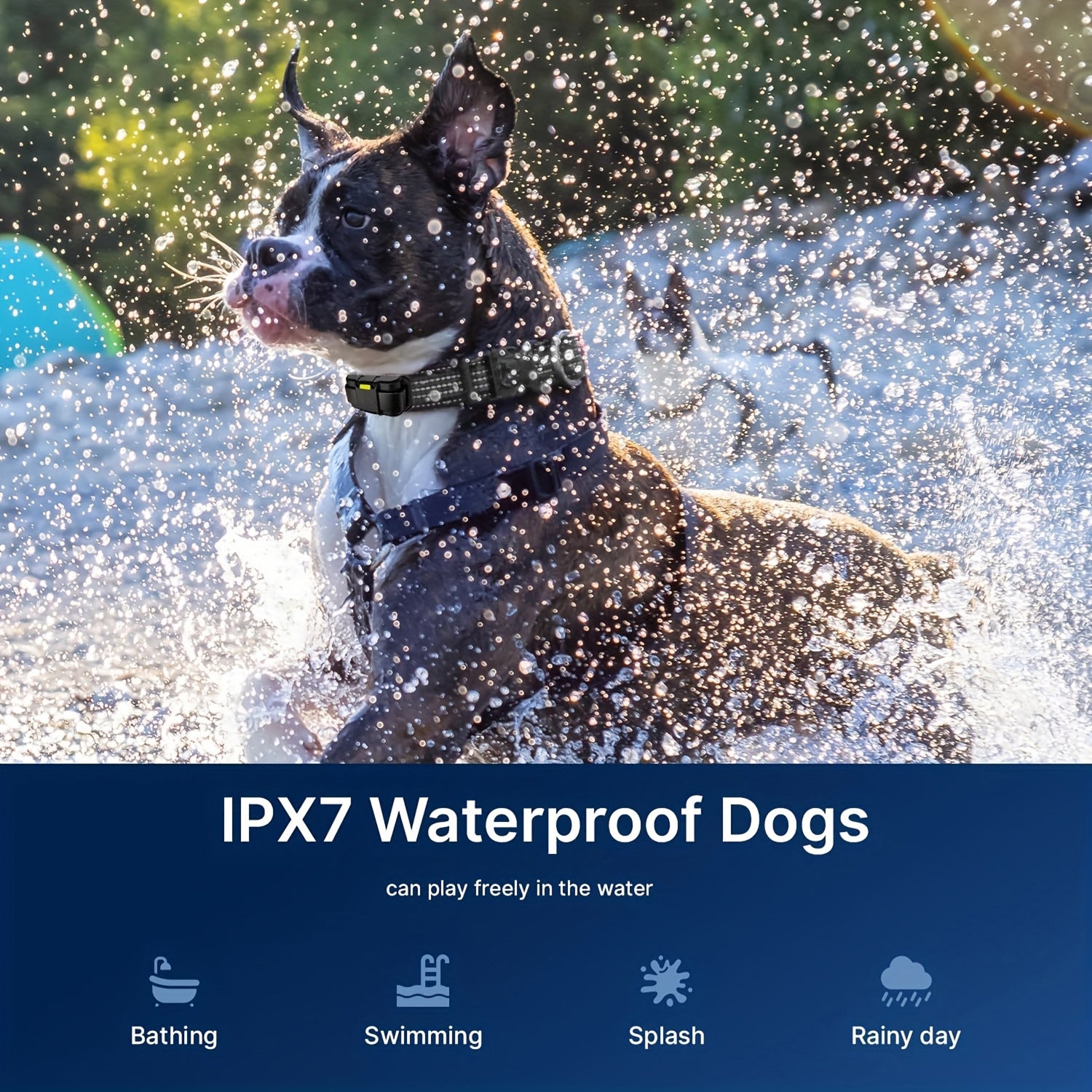 LocatyPup