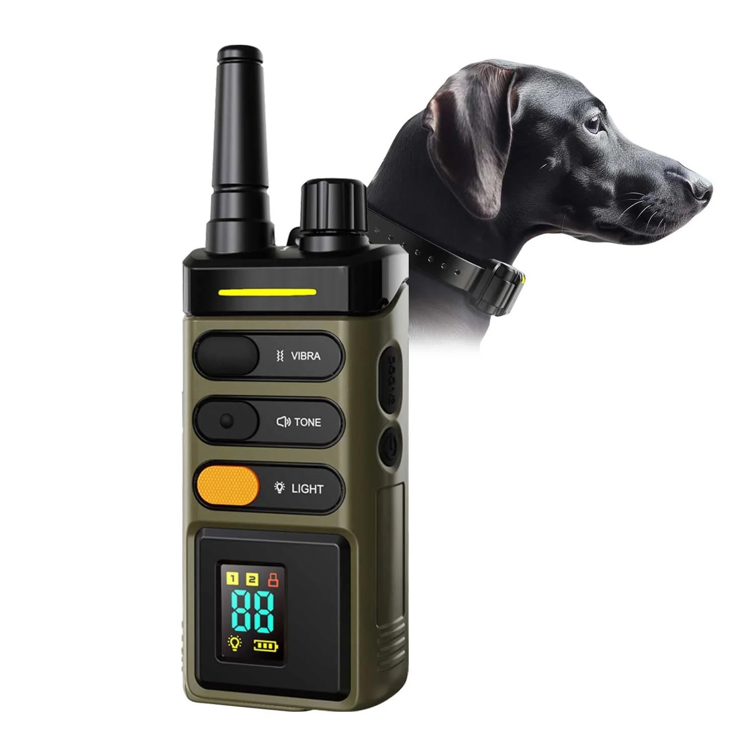LocatyPup