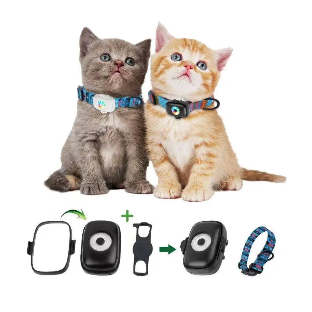 PurrGPS