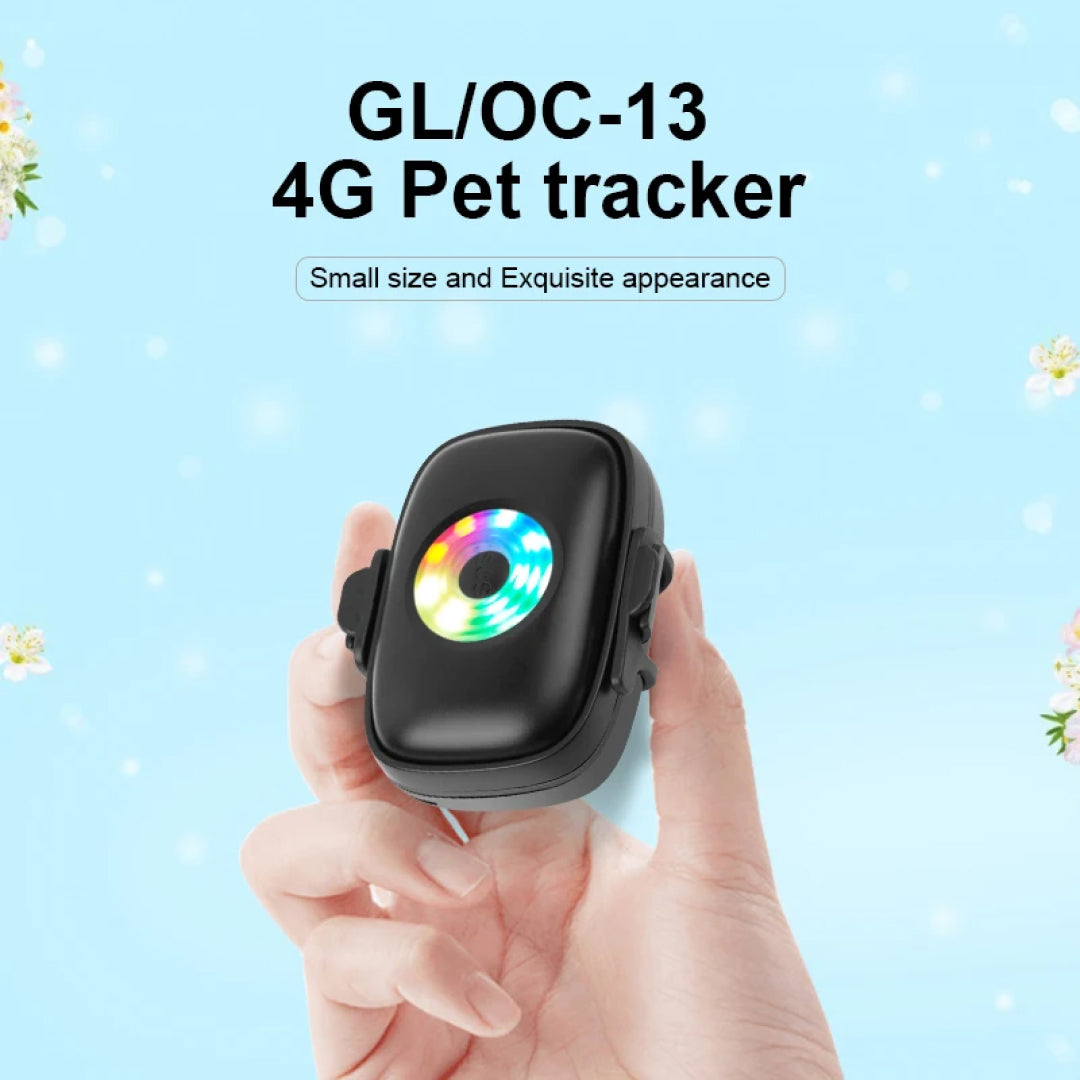 PurrGPS