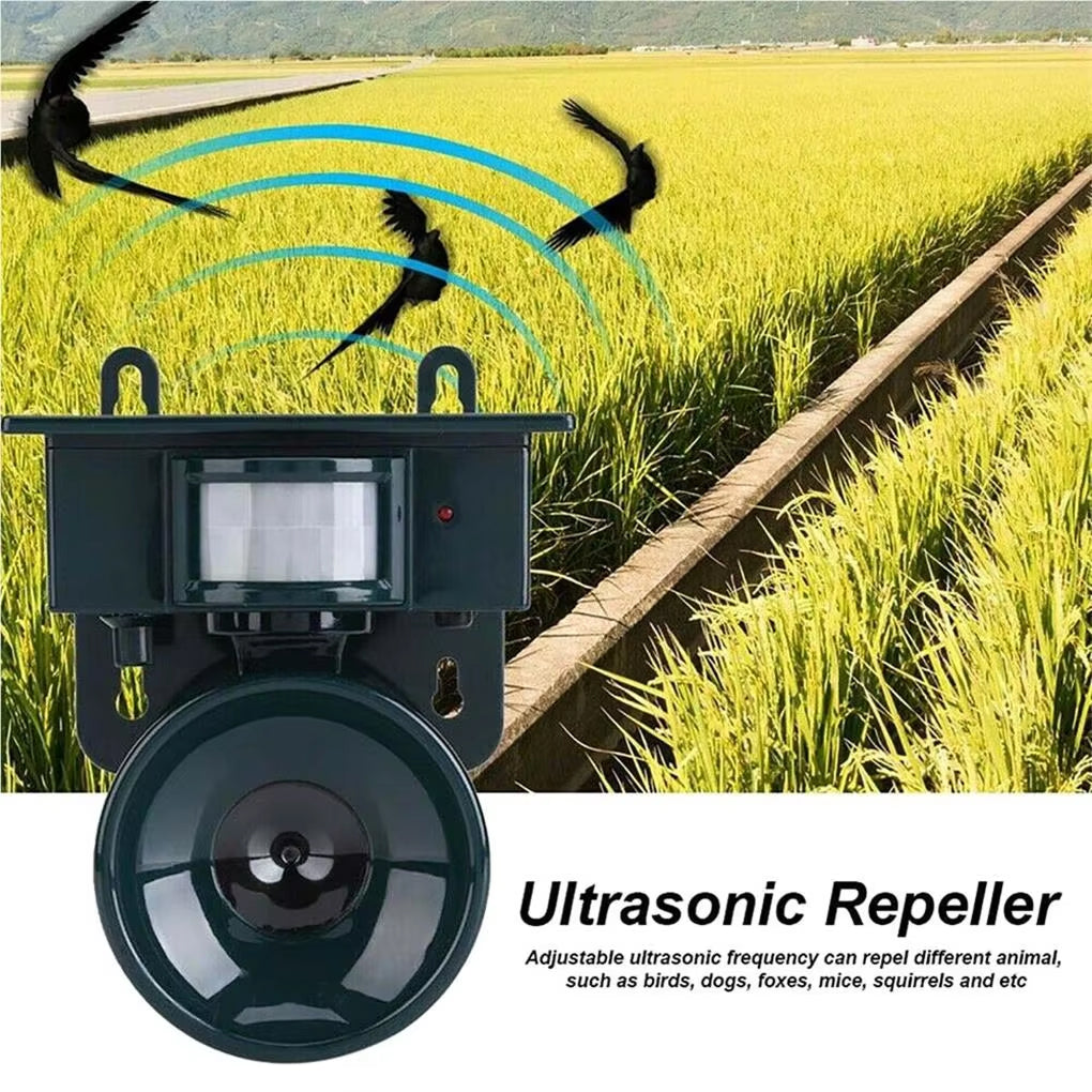 RePilBird