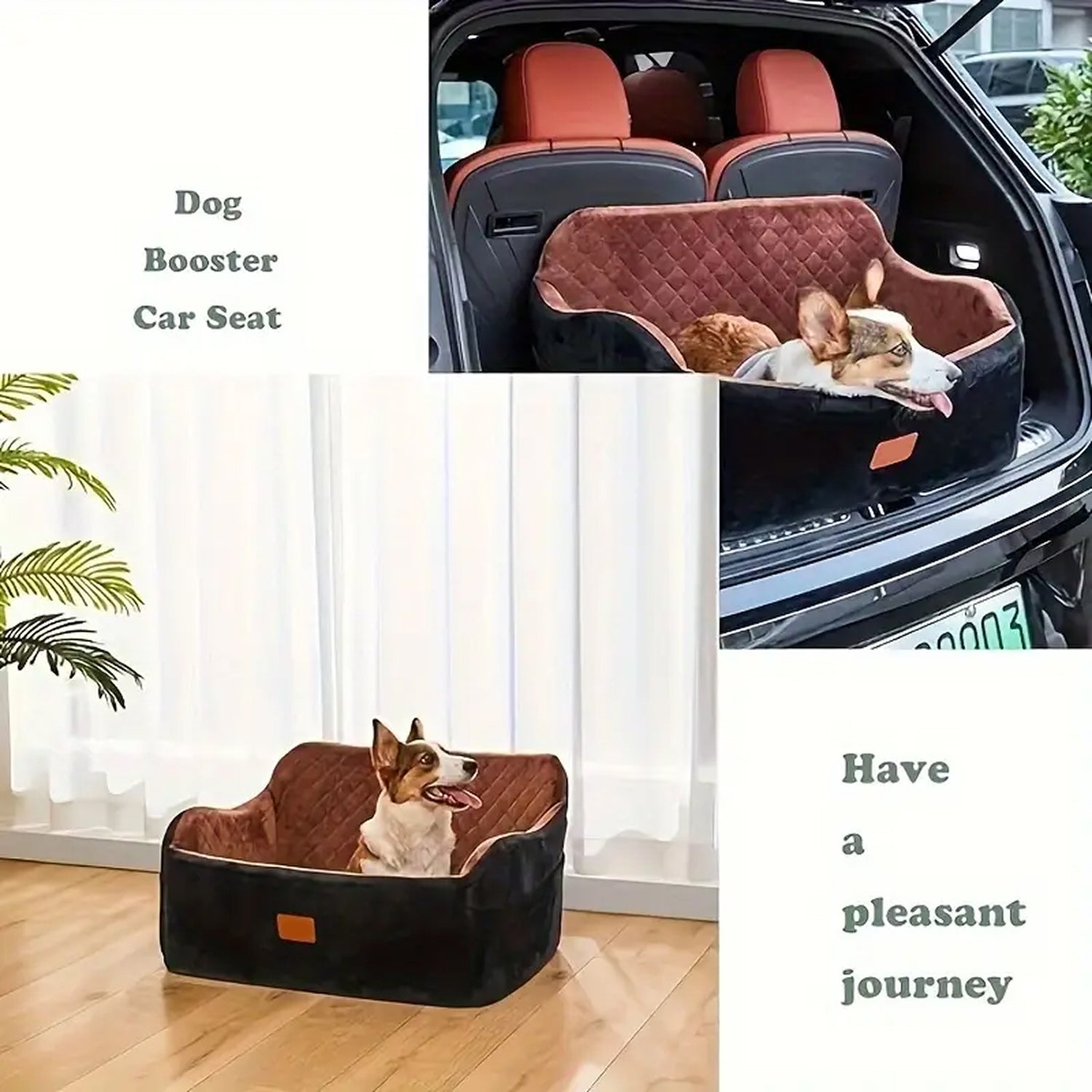 RuffFido