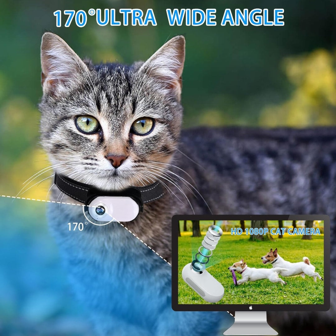 snap-purr-img-23.jpg__PID:d561c3aa-a69b-4792-8de0-4a68ae967a02