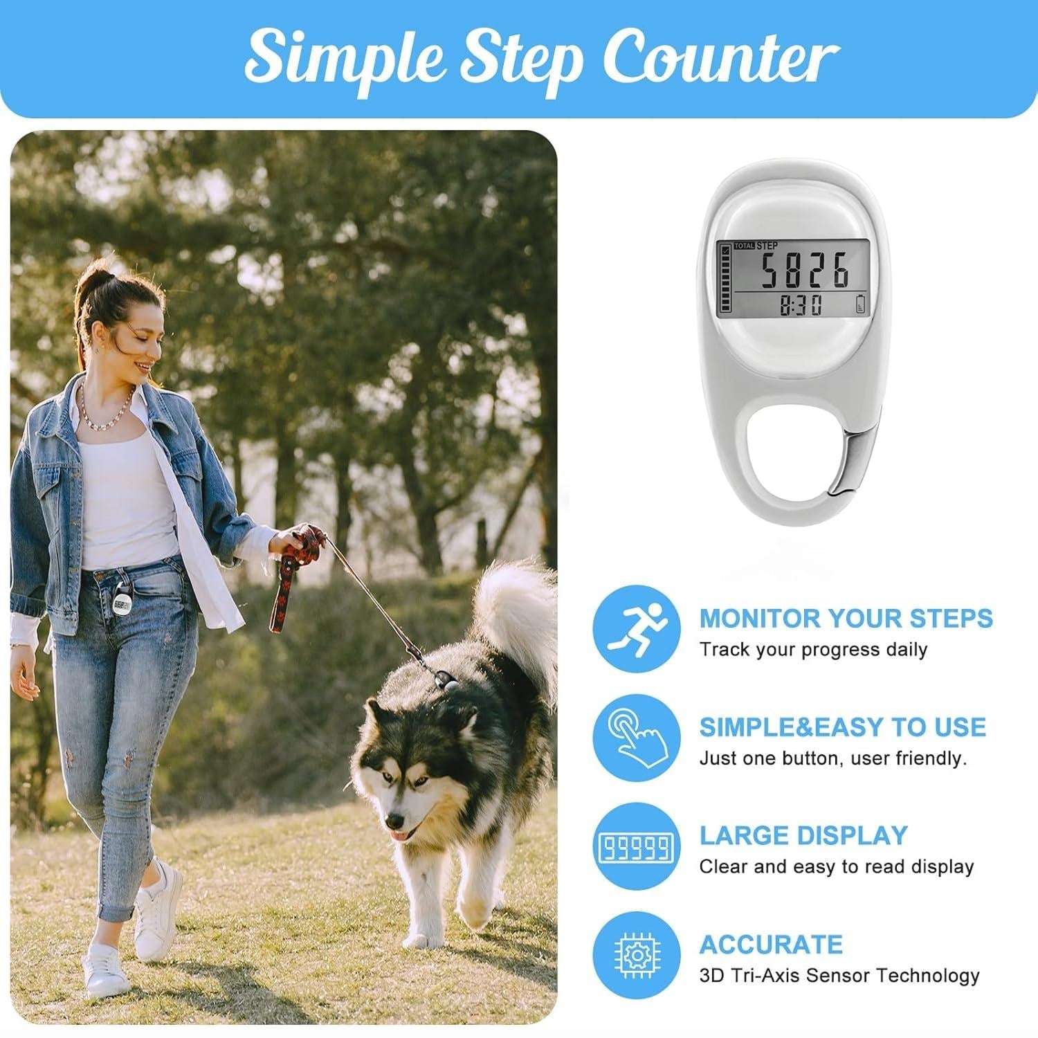 StepWizel