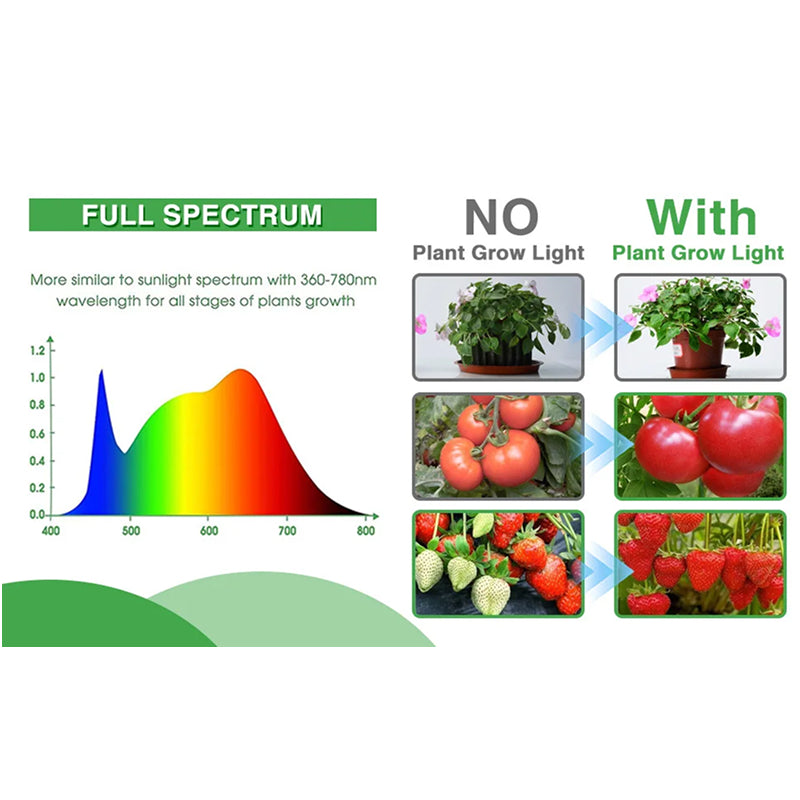 veda-grodi-img-02.jpg__PID:a3442858-3176-42b6-810a-0324f4e6a7c2