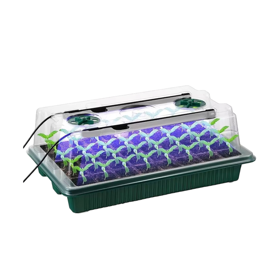 veda-grodi-img-03.png__PID:57e9e2b6-a277-401c-b46b-0e8fa1097acd