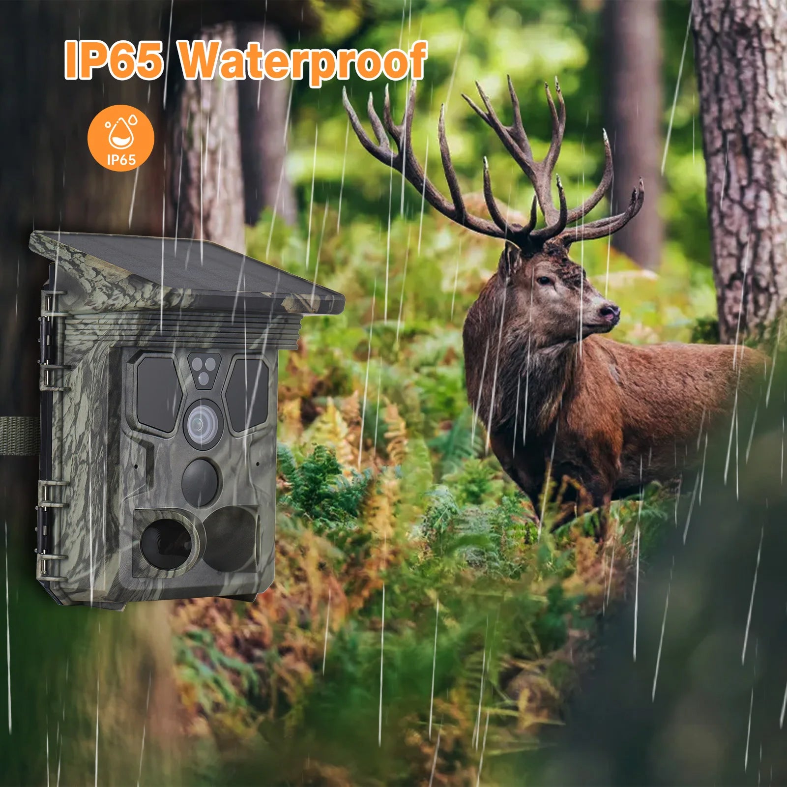Wildsnap v3