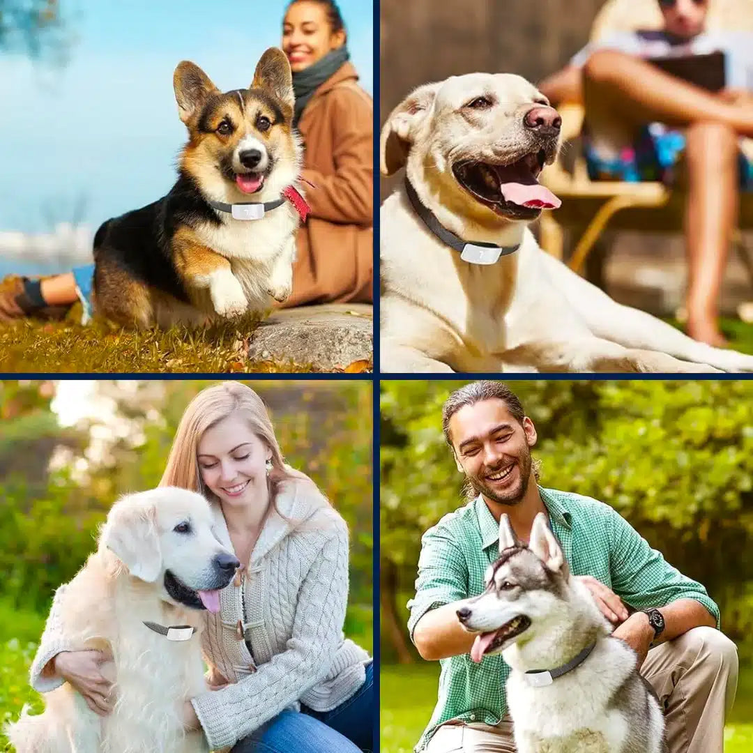 Zerobark